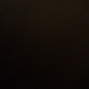 Meet your Posher, Lizbeth